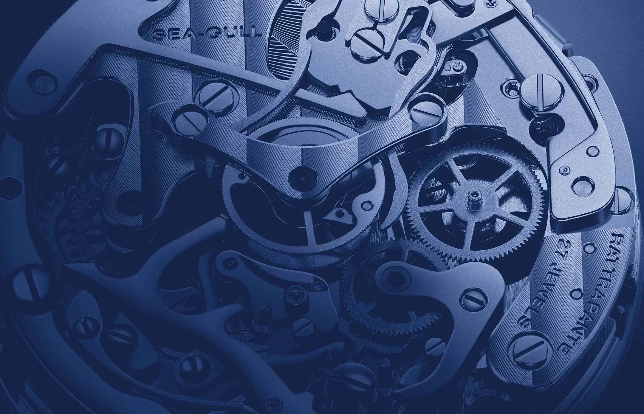 Seagull: A Manufacture Bridging Movements and Complete Watchmaking