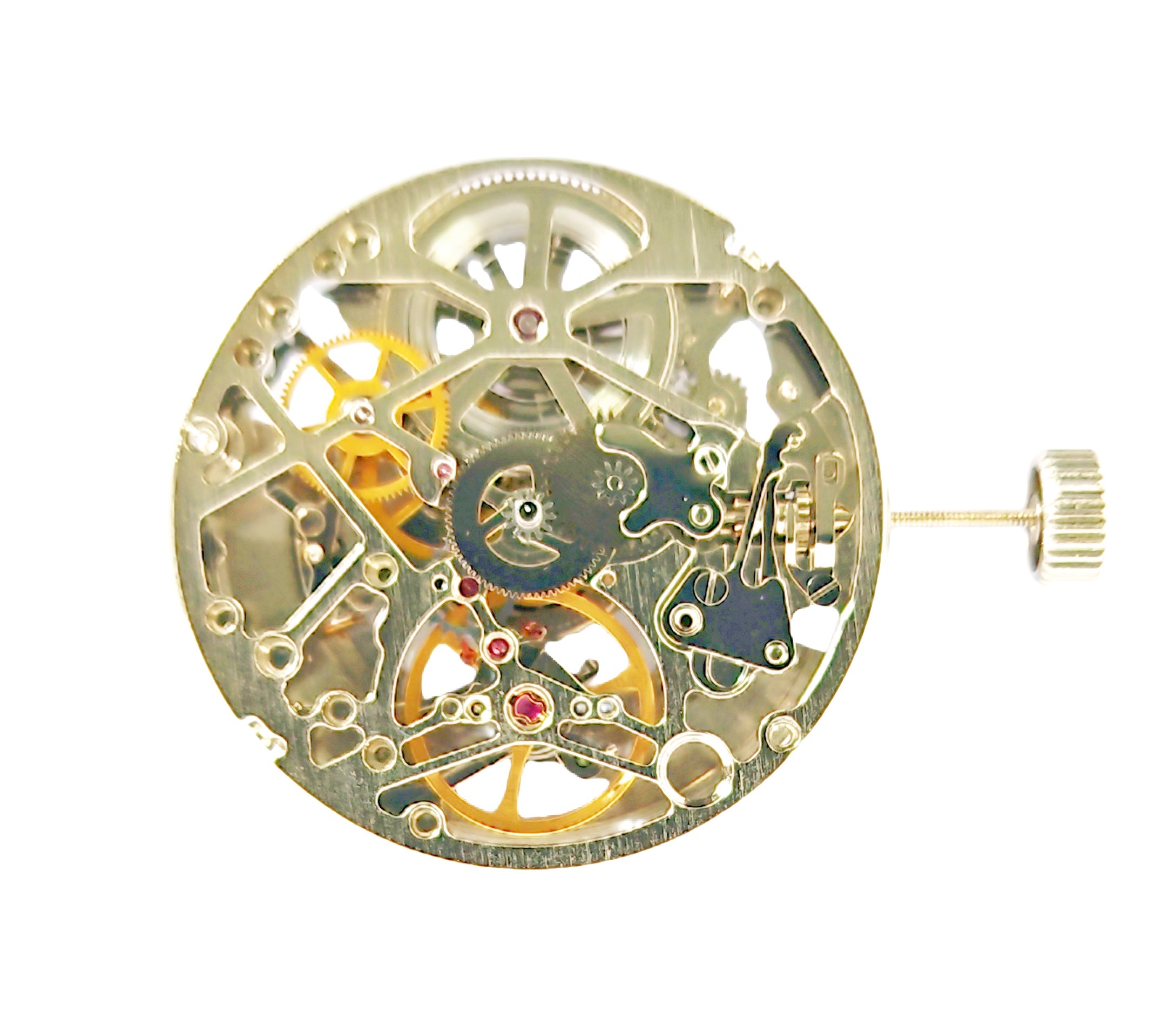 Skeleton Movement TY2551SK/ST2551K