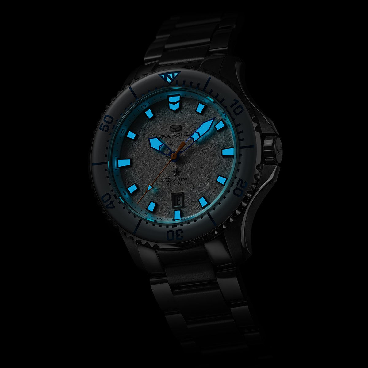 Ocean Series Pro 300m Waterproof Ice Wing Snow Region Diving Watch 43.5mm