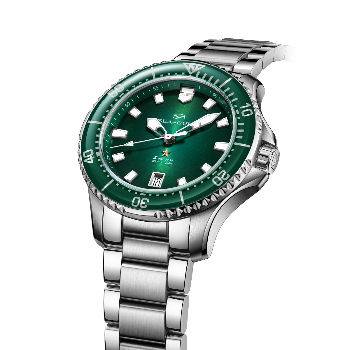 Seagull Ocean Series Pro 300m Mechanical Dive Watch 41mm 816.92.1213 Available at Seagull Official Store