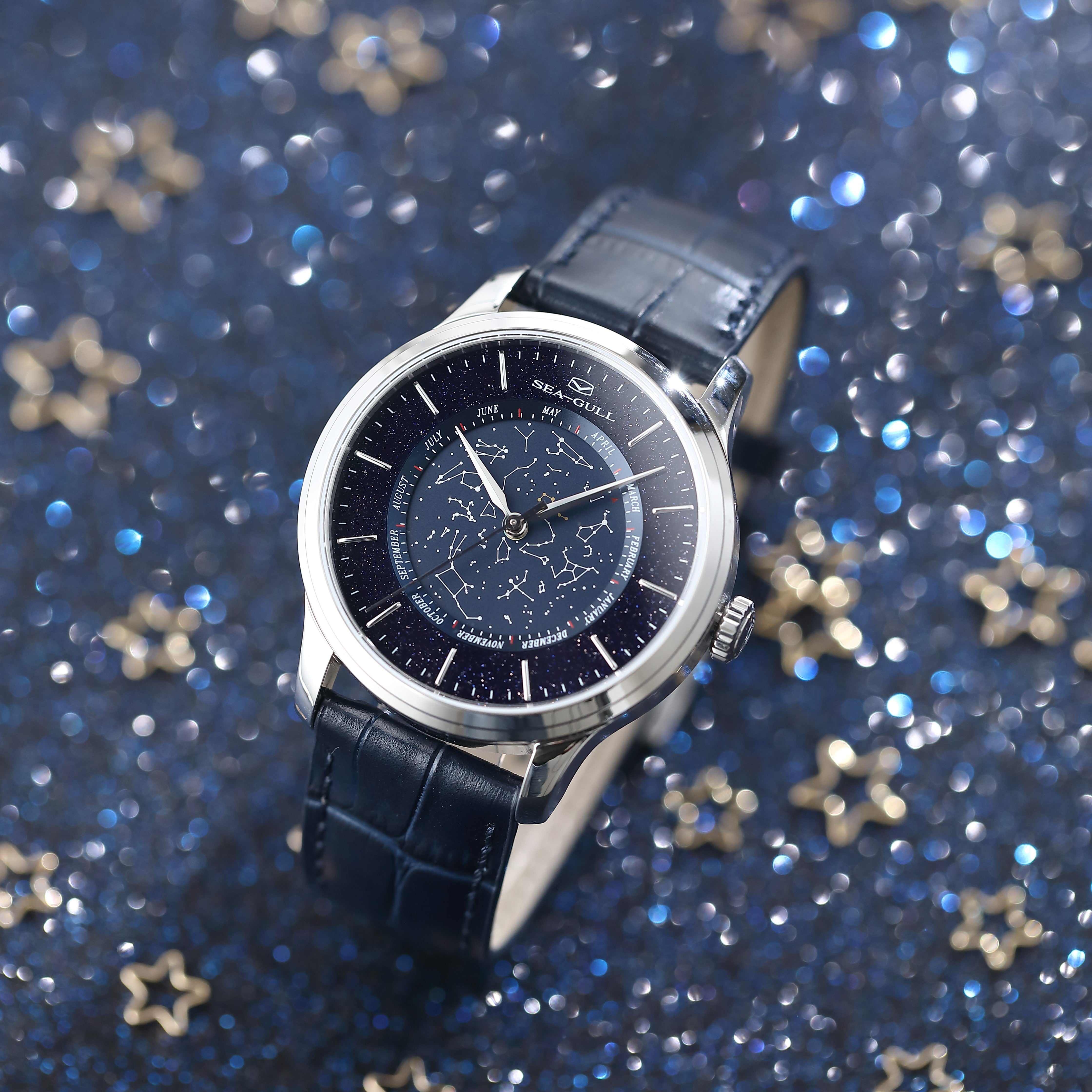 Chinese Astronomy Complication Watch 41mm