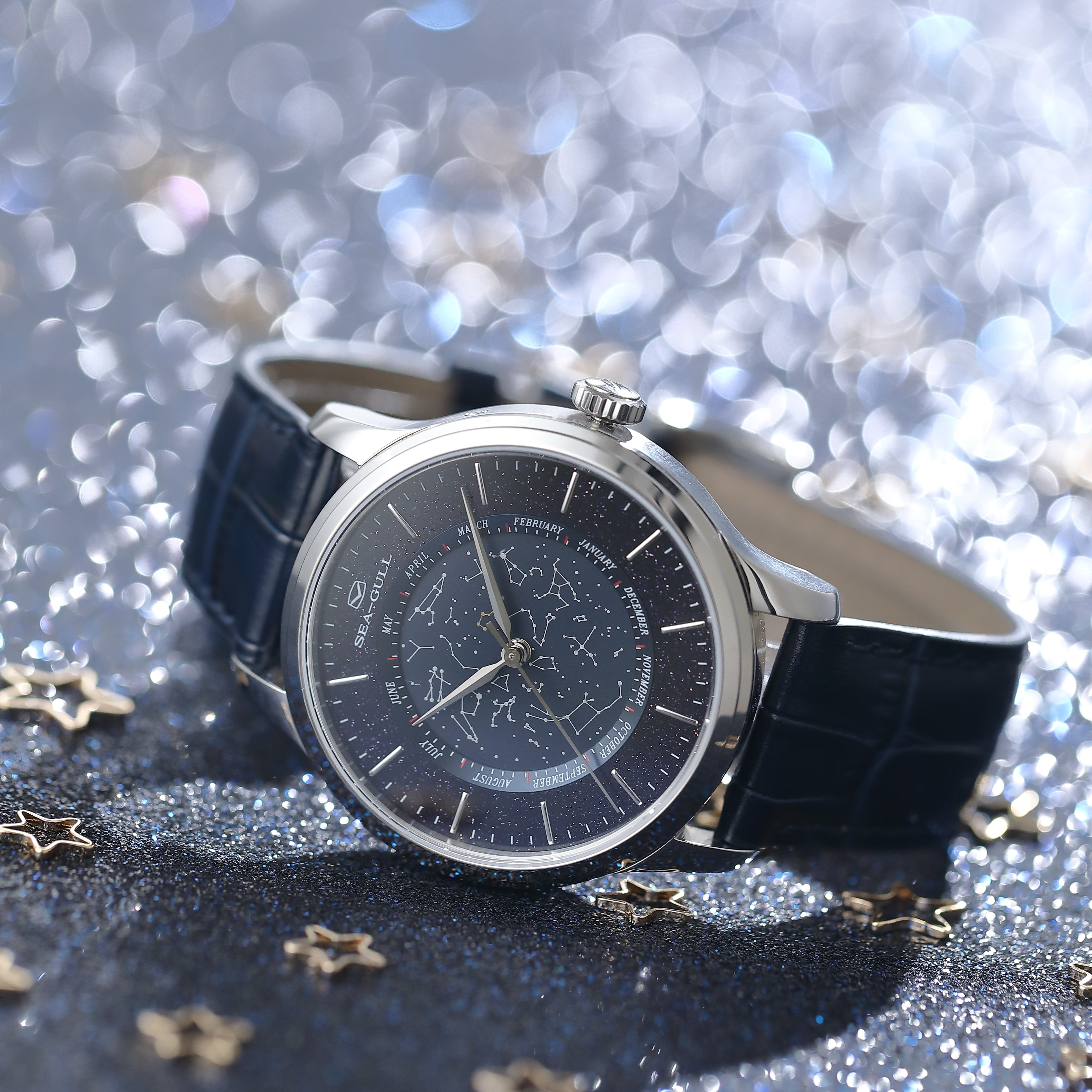 Chinese Astronomy Complication Watch 41mm