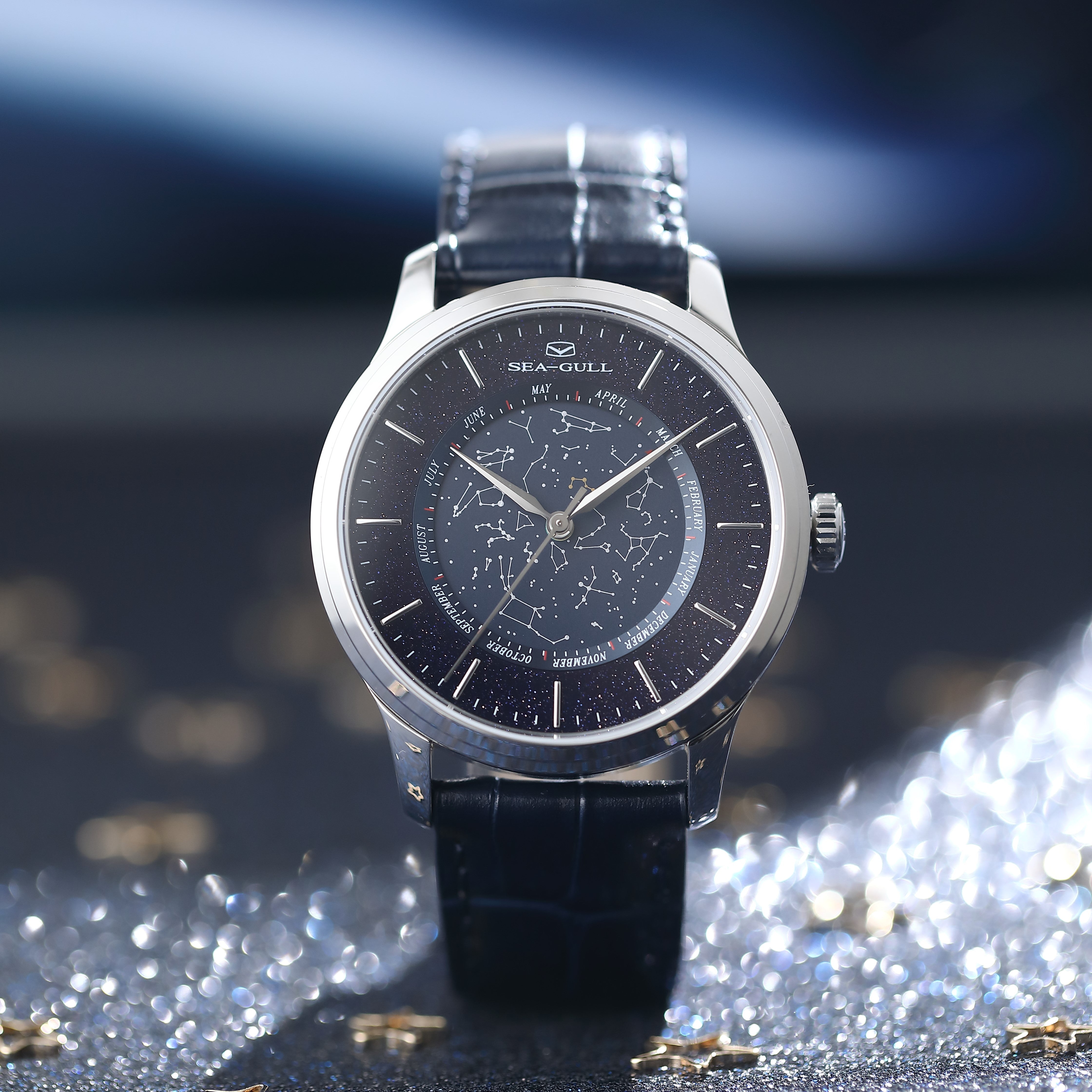 Chinese Astronomy Complication Watch 41mm