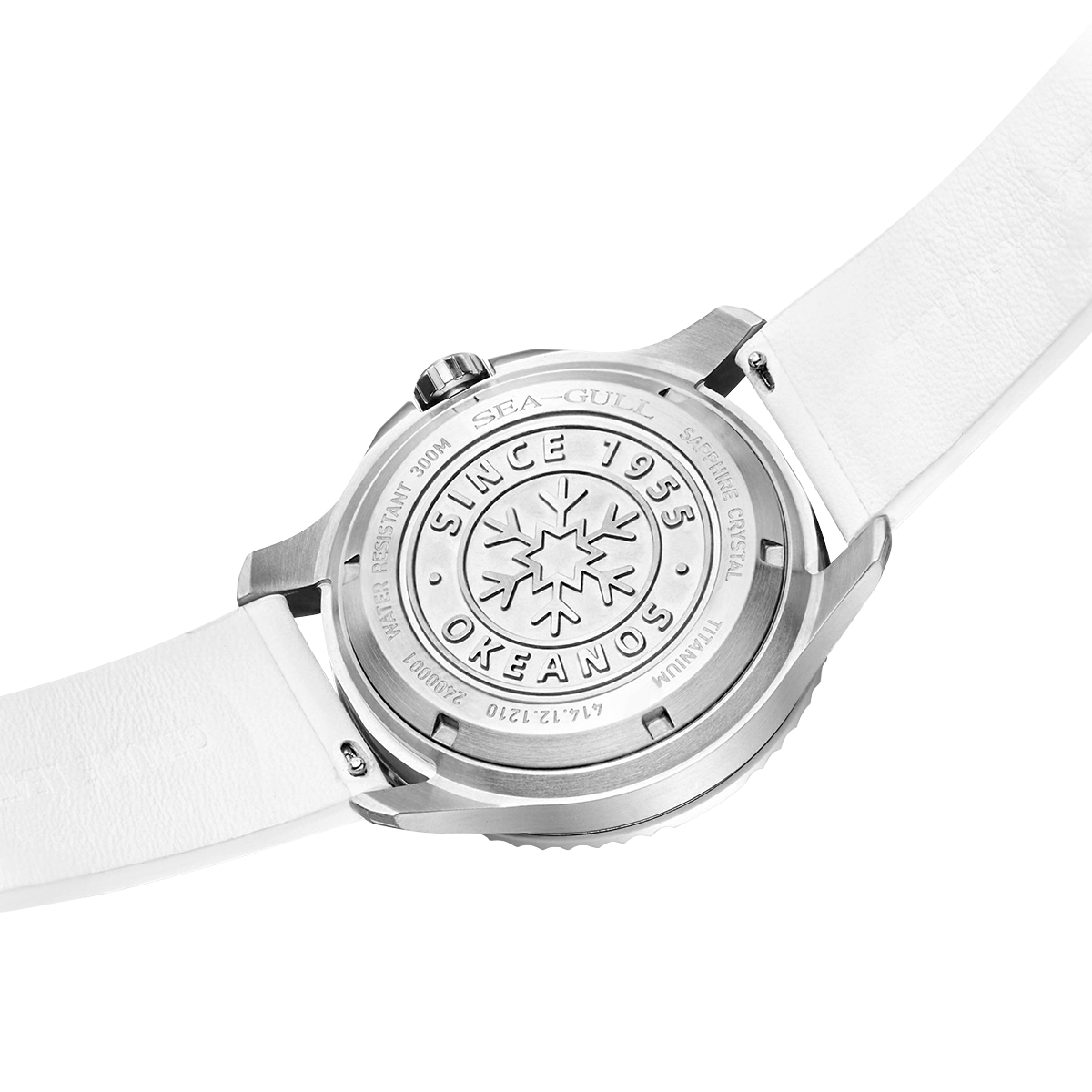 Ocean Series Diving Watch 43mm